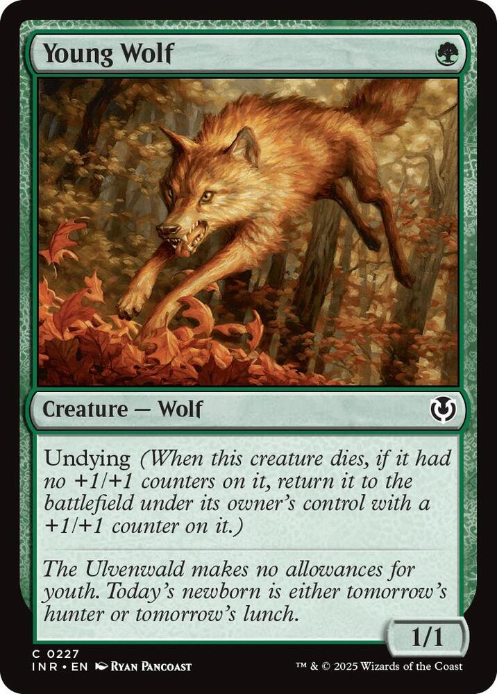 Young Wolf 227 card from Innistrad Remastered