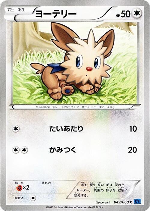 Lillipup 049/060 card from XY-Bx: Collection X