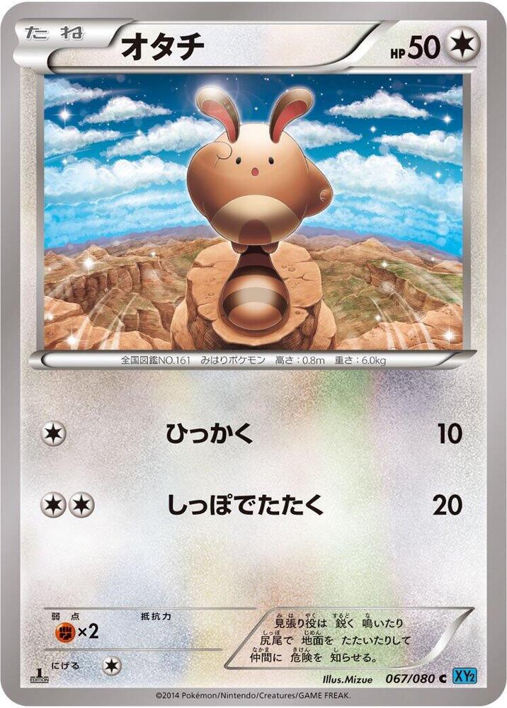 Sentret 067/080 card from XY2: Wild Blaze