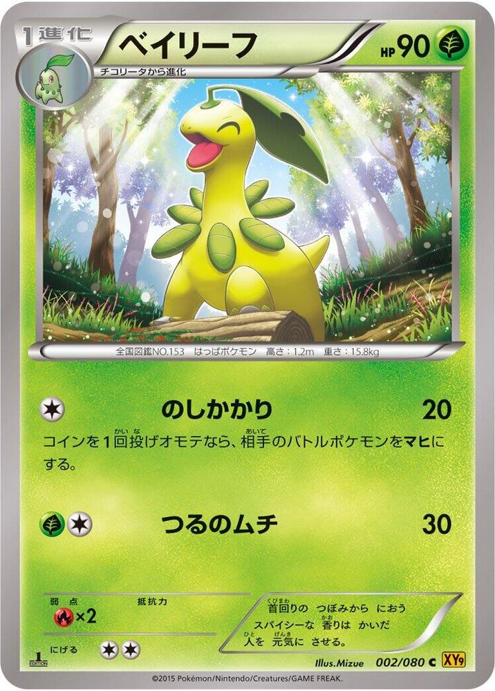 Bayleef 002/080 card from XY9: Rage of the Broken Heavens
