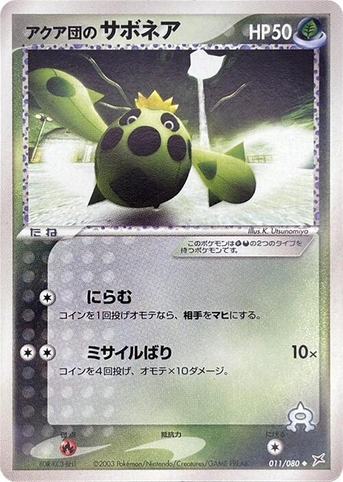 Team Aqua's Cacnea 011/080 card from Magma VS Aqua: Two Ambitions
