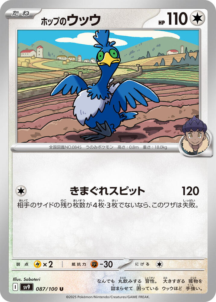 Hop's Cramorant 087/100 card from SV9: Battle Partners