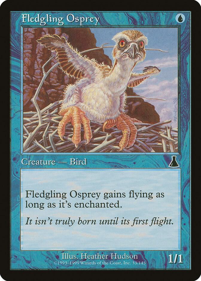 Fledgling Osprey 33 card from Urza's Destiny