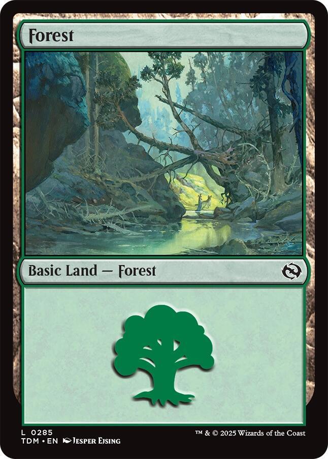 Forest 285 card from Tarkir: Dragonstorm