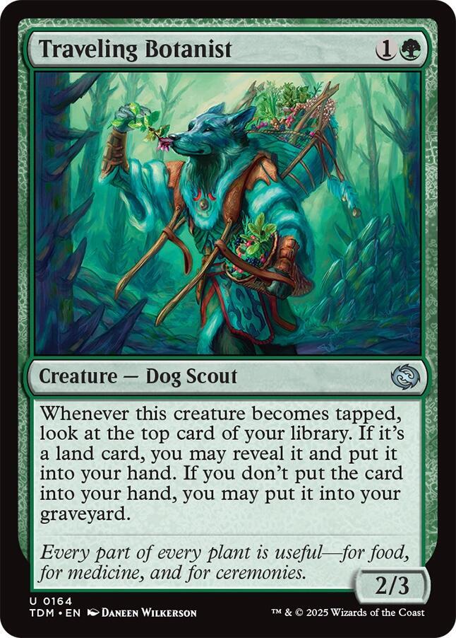 Traveling Botanist 164 card from Tarkir: Dragonstorm