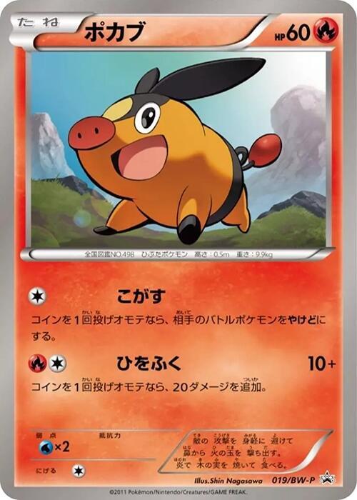 Tepig 019/BW-P card from BW-P Promotional cards