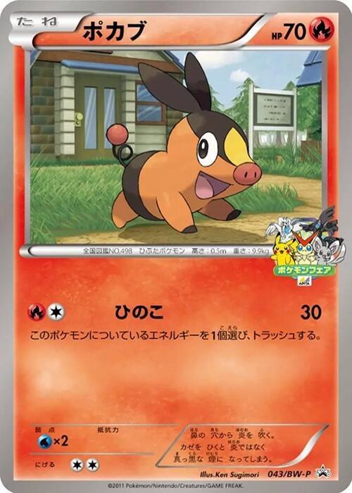 Tepig 043/BW-P card from BW-P Promotional cards