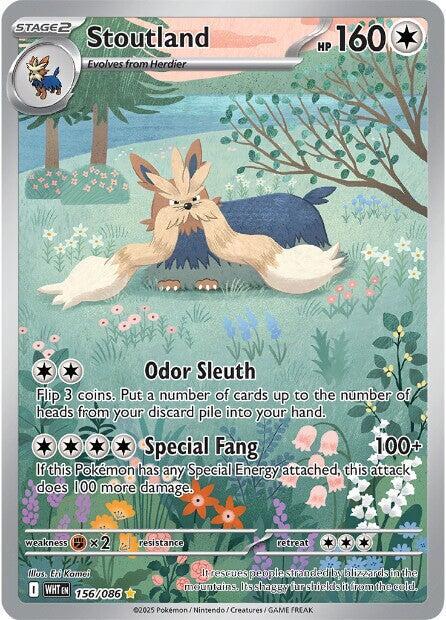 Stoutland 156/086 card from SV: White Flare