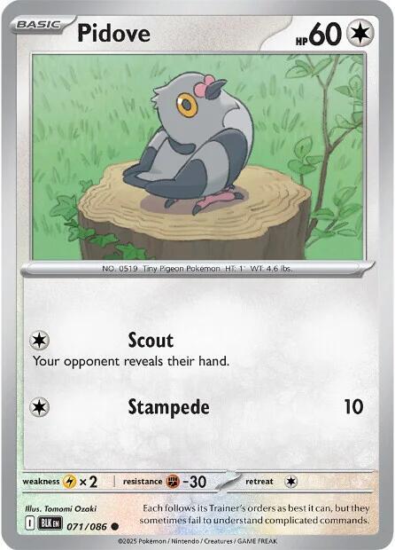Pidove 071/086 card from SV: Black Bolt