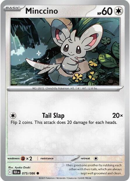 Minccino 075/086 card from SV: Black Bolt