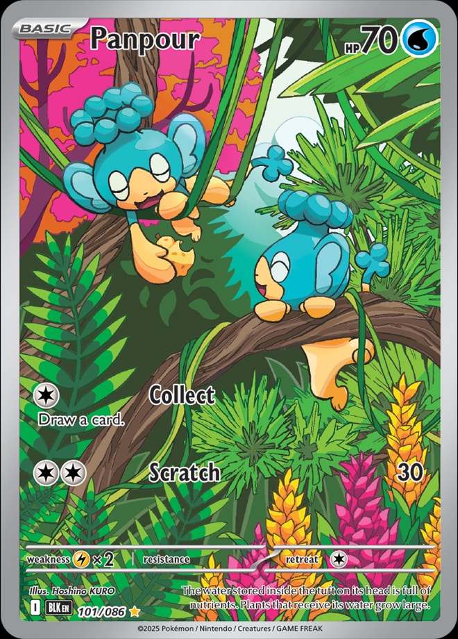 Panpour 101/086 card from SV: Black Bolt