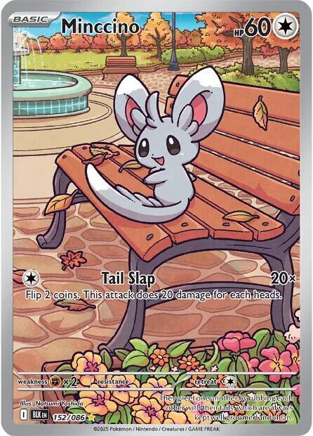 Minccino 152/086 card from SV: Black Bolt