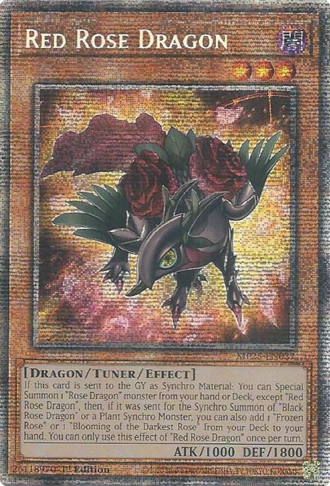 Red Rose Dragon MP25-EN037 card from 2025 Mega-Pack