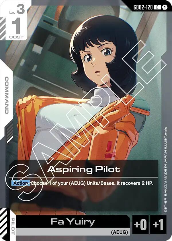 Aspiring Pilot GD02-120 card from Dual Impact