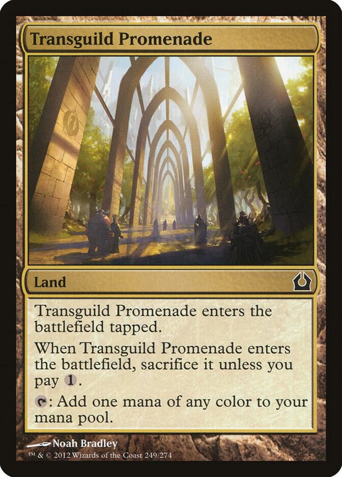 Transguild Promenade 249 card from Return to Ravnica