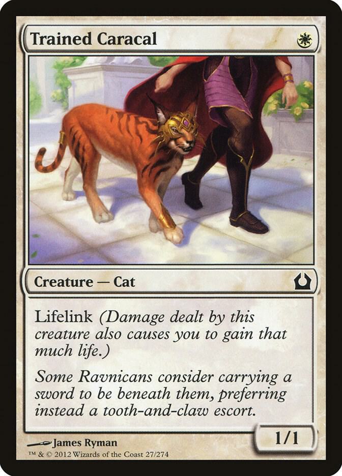 Trained Caracal 27 card from Return to Ravnica