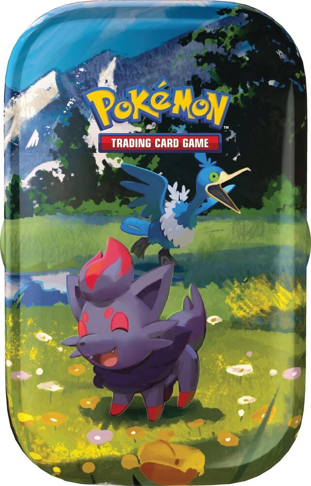 Ascended Heroes Mini Tin [Zorua & Chramorant] card from ME: Ascended Heroes