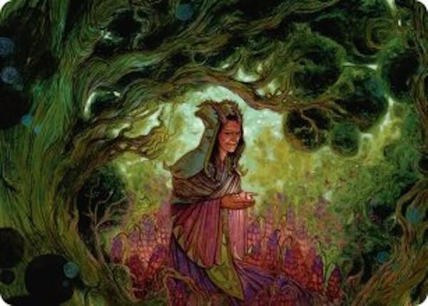 Bloom Tender Art Card 41 card from Art Series: Lorwyn Eclipsed