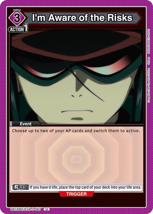 I'm Aware of the Risks UE15BT/EVA-1-067 card from UE15BT: Evangelion: New Theatrical Edition