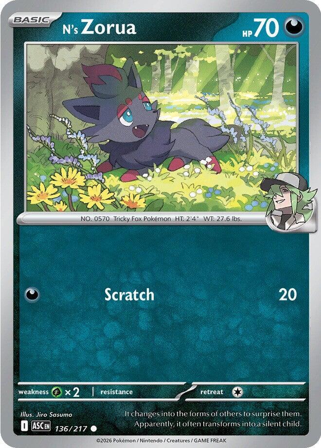 N's Zorua 136/217 card from ME: Ascended Heroes