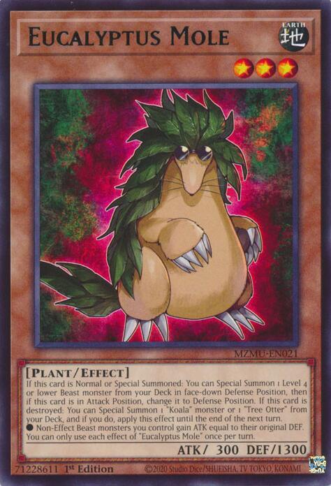 Eucalyptus Mole MZMU-EN021 card from Maze of Muertos
