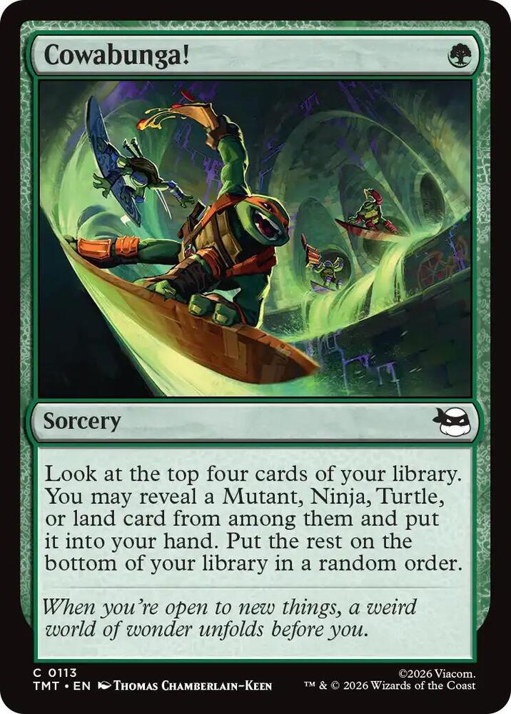 Cowabunga! 113 card from Teenage Mutant Ninja Turtles
