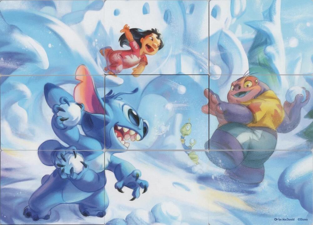 Winterspell Snowball Fight Puzzle Insert (Set of 9) card from Winterspell