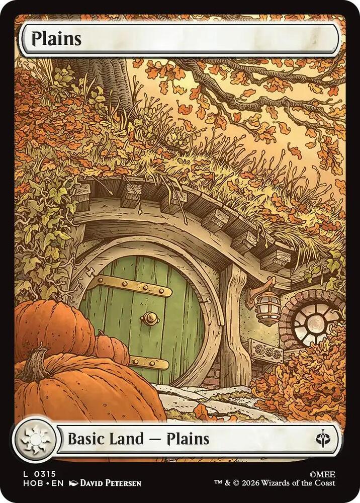 Plains 315 card from The Hobbit