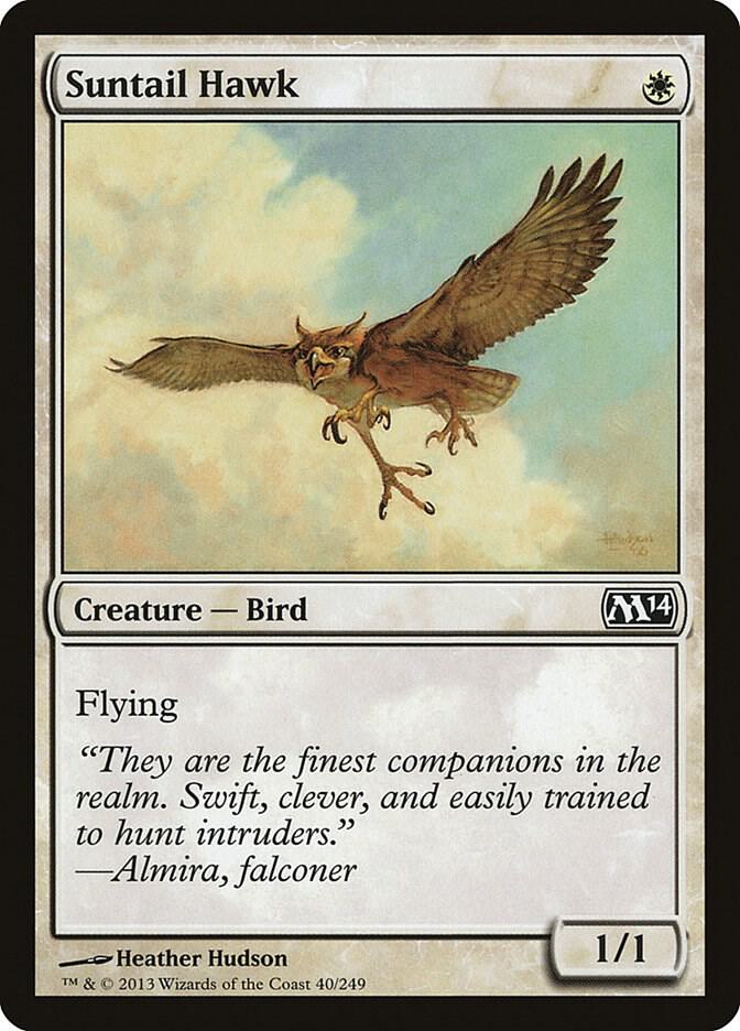 Suntail Hawk 40 card from Magic 2014 (M14)