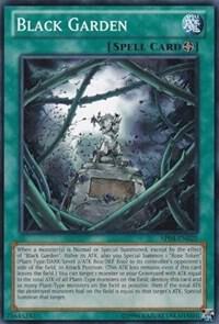 Black Garden AP04-EN025 card from Astral Pack 4