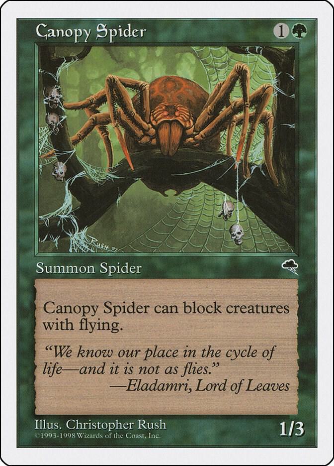 Canopy Spider card from Anthologies