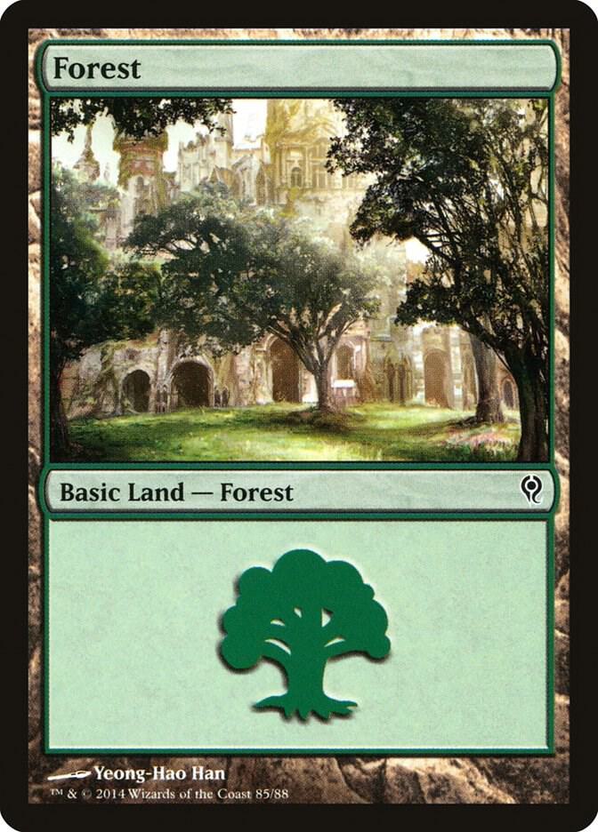 Forest 85 card from Duel Decks: Jace vs. Vraska