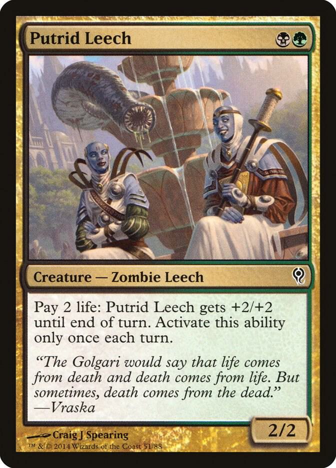 Putrid Leech 51 card from Duel Decks: Jace vs. Vraska