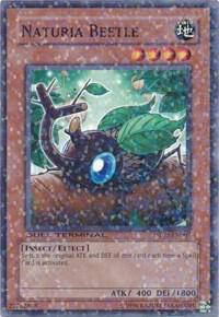 Naturia Beetle DT02-EN007 card from Duel Terminal 2