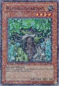 Naturia Guardian DT02-EN009 card from Duel Terminal 2