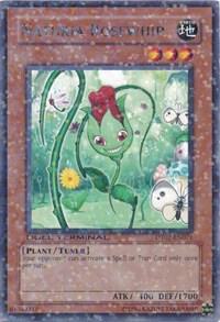Naturia Rosewhip DT02-EN071 card from Duel Terminal 2