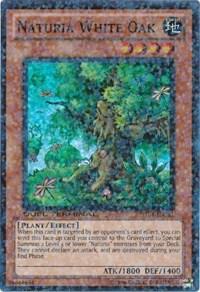 Naturia White Oak DT04-EN081 card from Duel Terminal 4