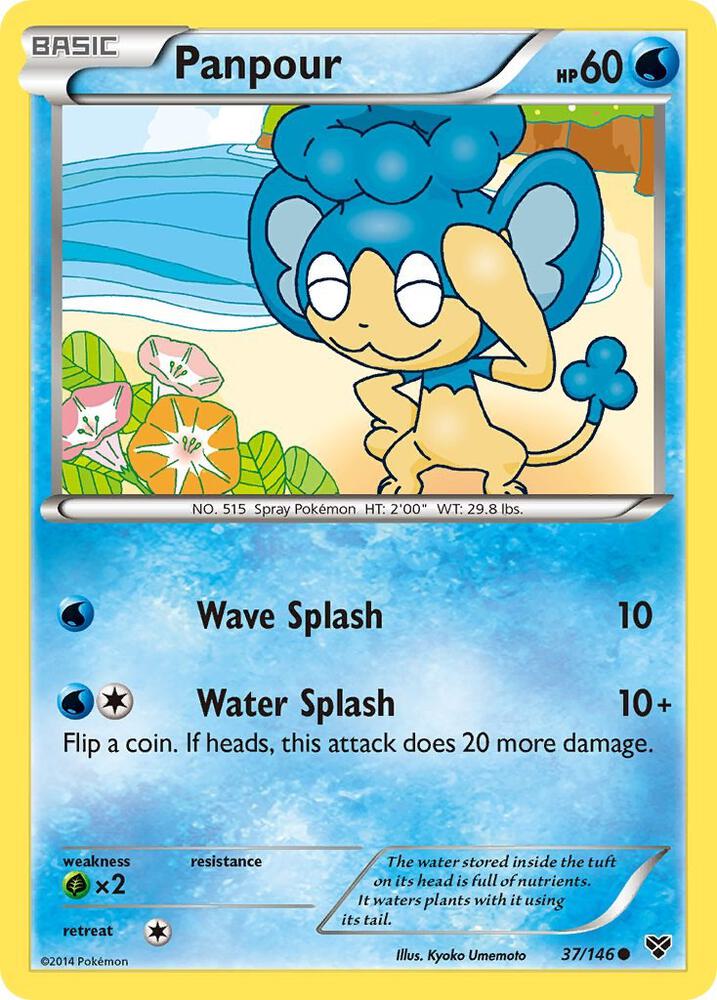Panpour 37/146 card from XY Base Set