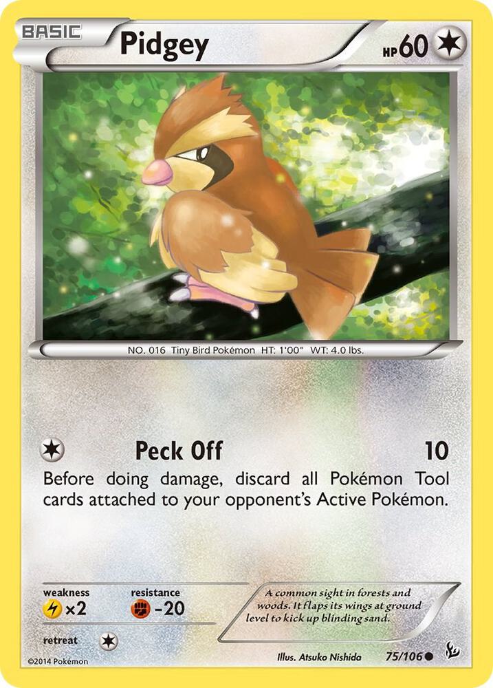 Pidgey 75/106 card from XY - Flashfire