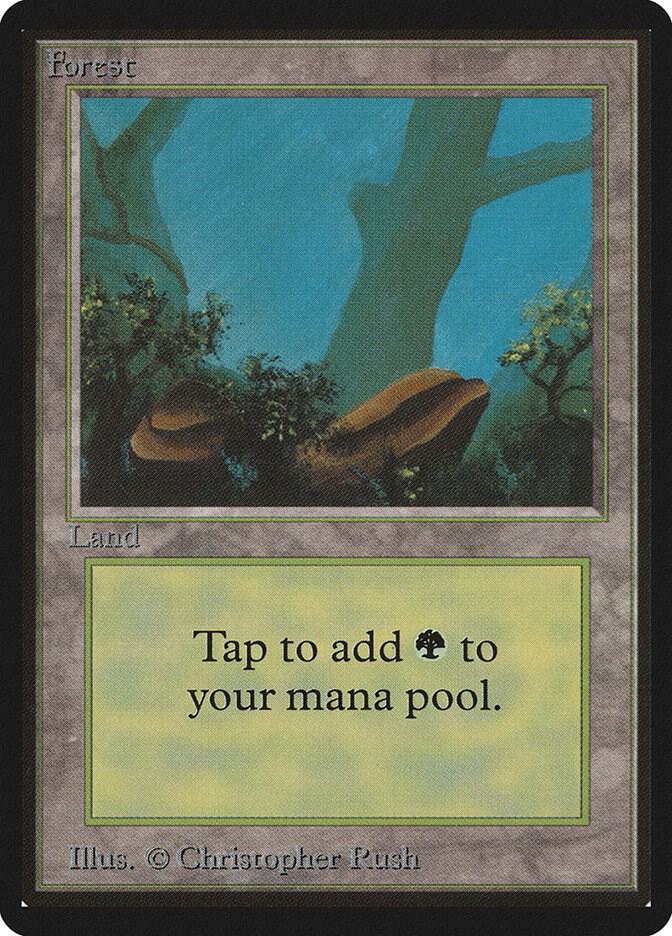 Forest (A) card from Beta Edition
