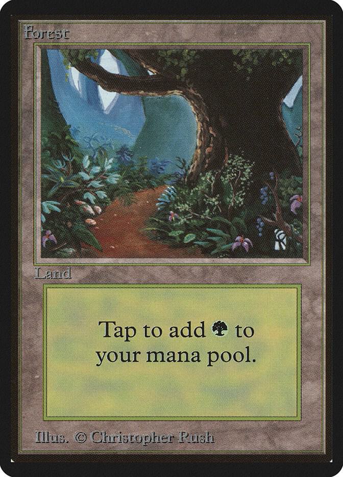 Forest (B) card from Beta Edition