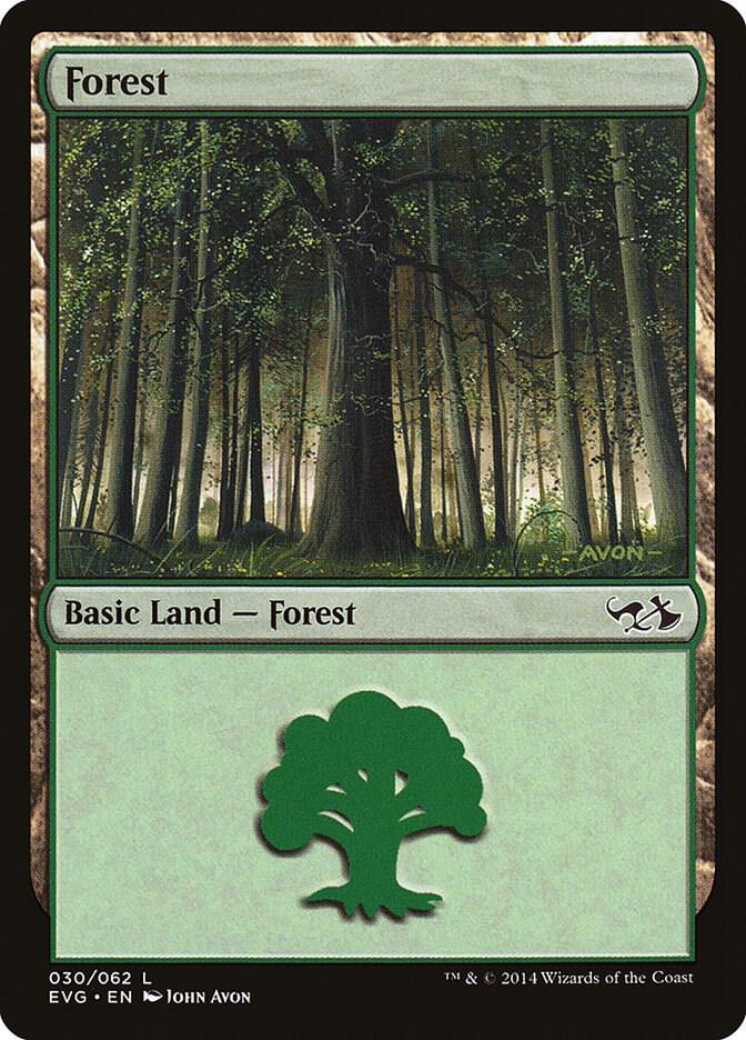 Forest (EVG) 30 card from Duel Decks: Anthology