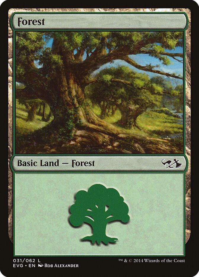 Forest (EVG) 31 card from Duel Decks: Anthology