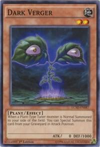 Dark Verger LC5D-EN087 card from Legendary Collection 5D's