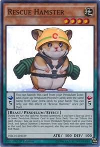 Rescue Hamster NECH-EN039 card from The New Challengers