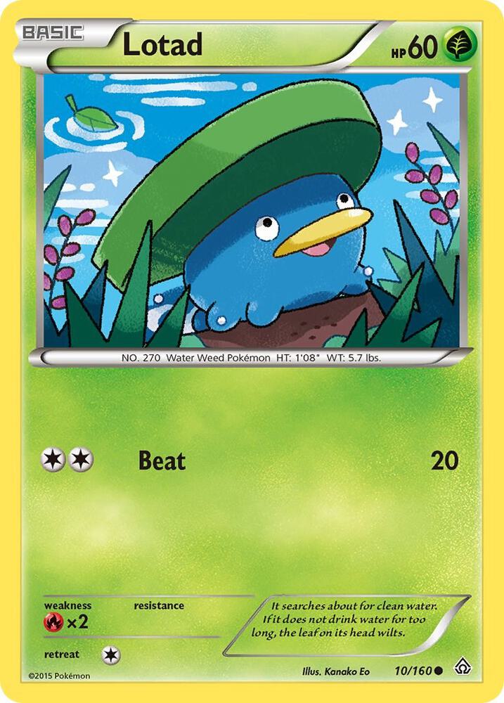 Lotad 10/160 card from XY - Primal Clash