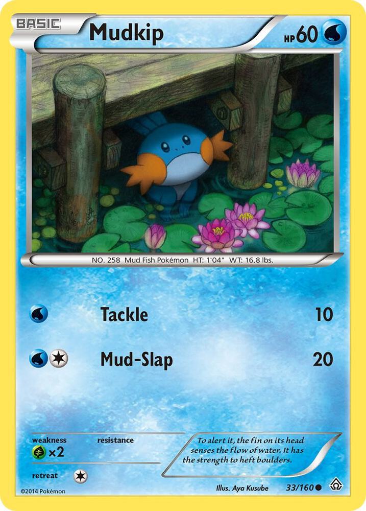 Mudkip 33/160 card from XY - Primal Clash