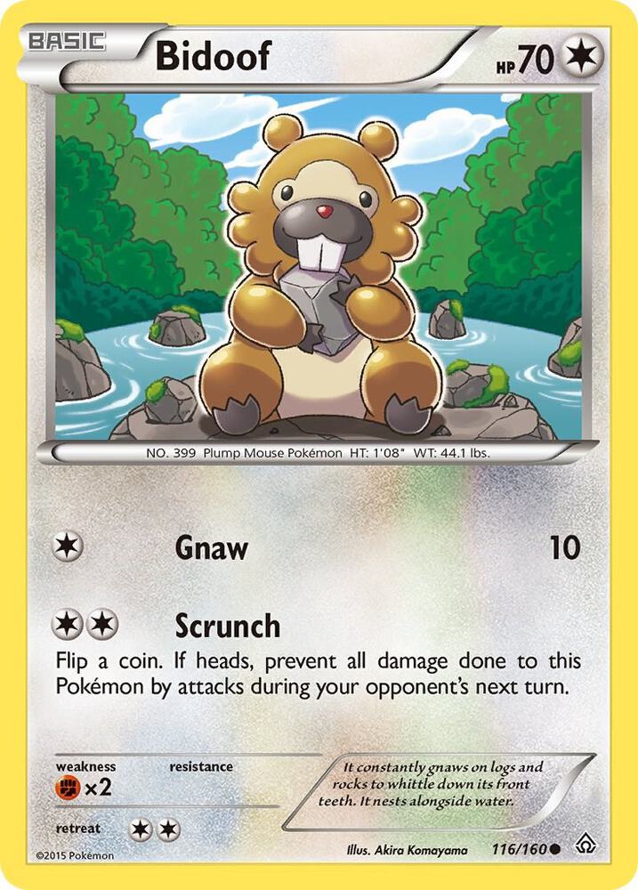 Bidoof 116/160 card from XY - Primal Clash