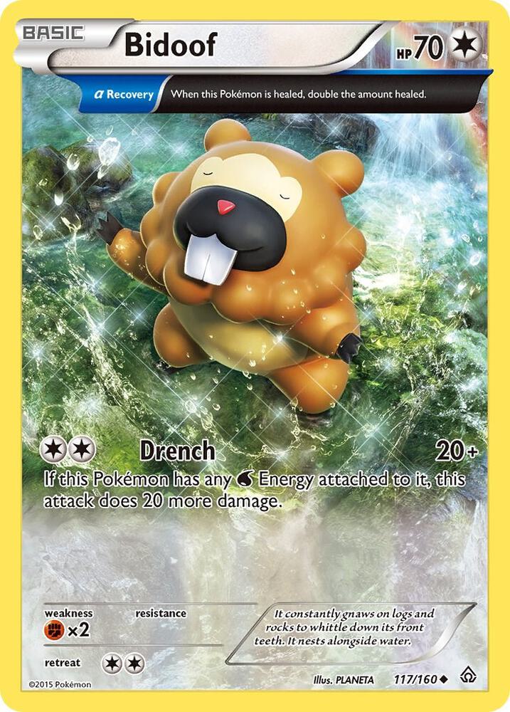 Bidoof (Alpha) 117/160 card from XY - Primal Clash