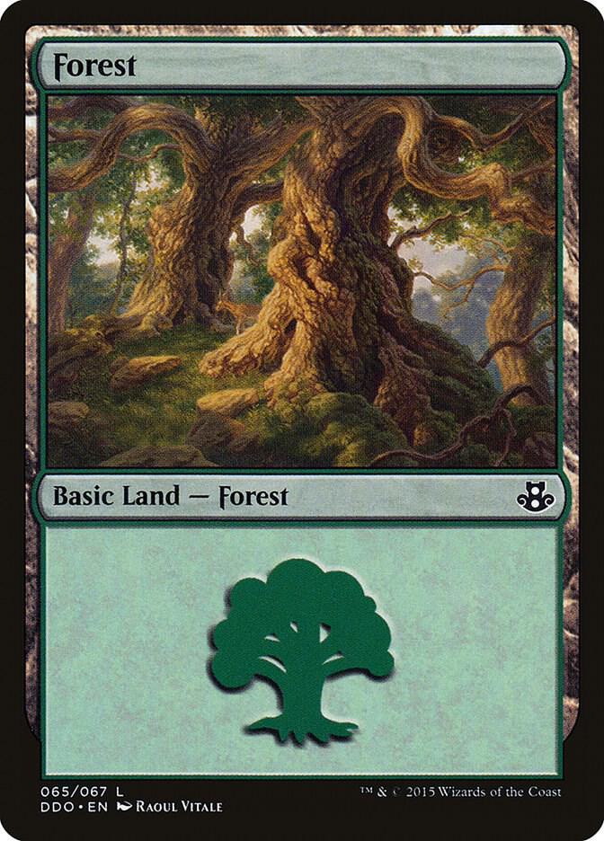 Forest 65 card from Duel Decks: Elspeth vs. Kiora